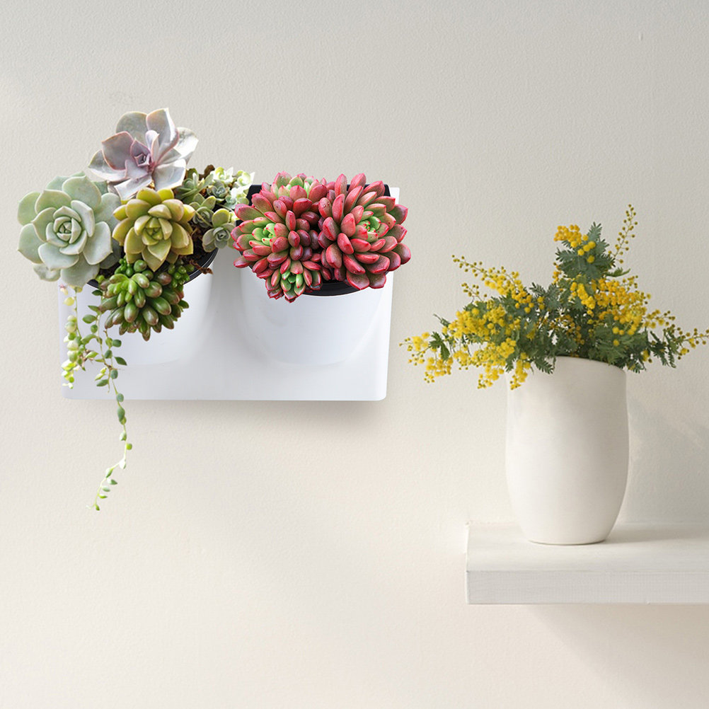 Self-Watering Planter - Vaso de Flores Autoirrigável de Plástico