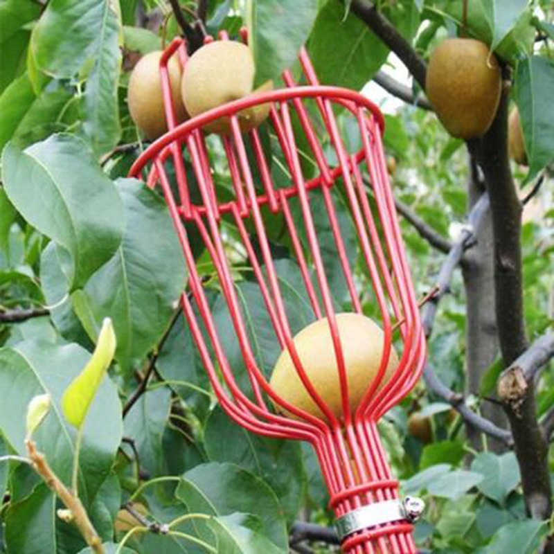 Gardening Tools Basket - Cabeça de Colhedora de Frutas com