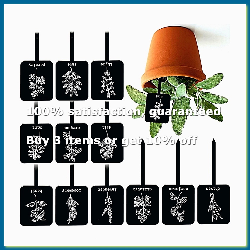 Gardening Tools With Names - 24 Etiquetas de Acrílico para Plantas,