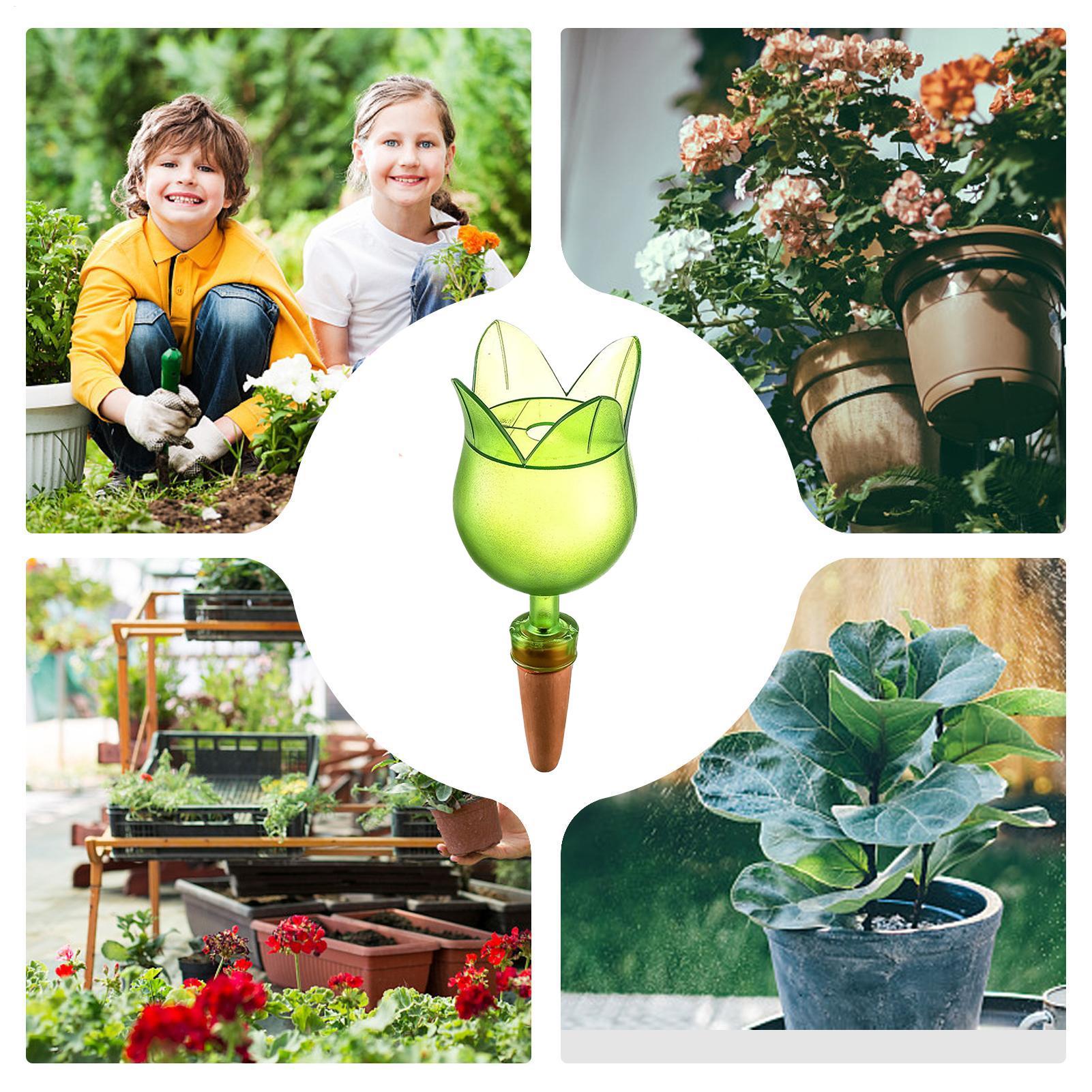 Dispositivos de rega automátic - Self-Watering Planter avaliação e preço