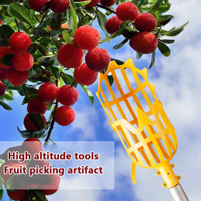 Selecionador De Frutas De Plás - Gardening Tools Basket avaliação e preço