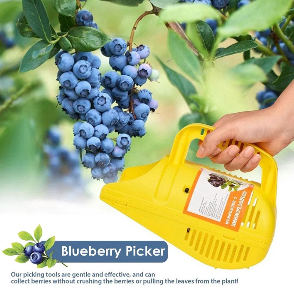Raspador de Mirtilos |   Ferra - Gardening Tools Basket avaliação e preço