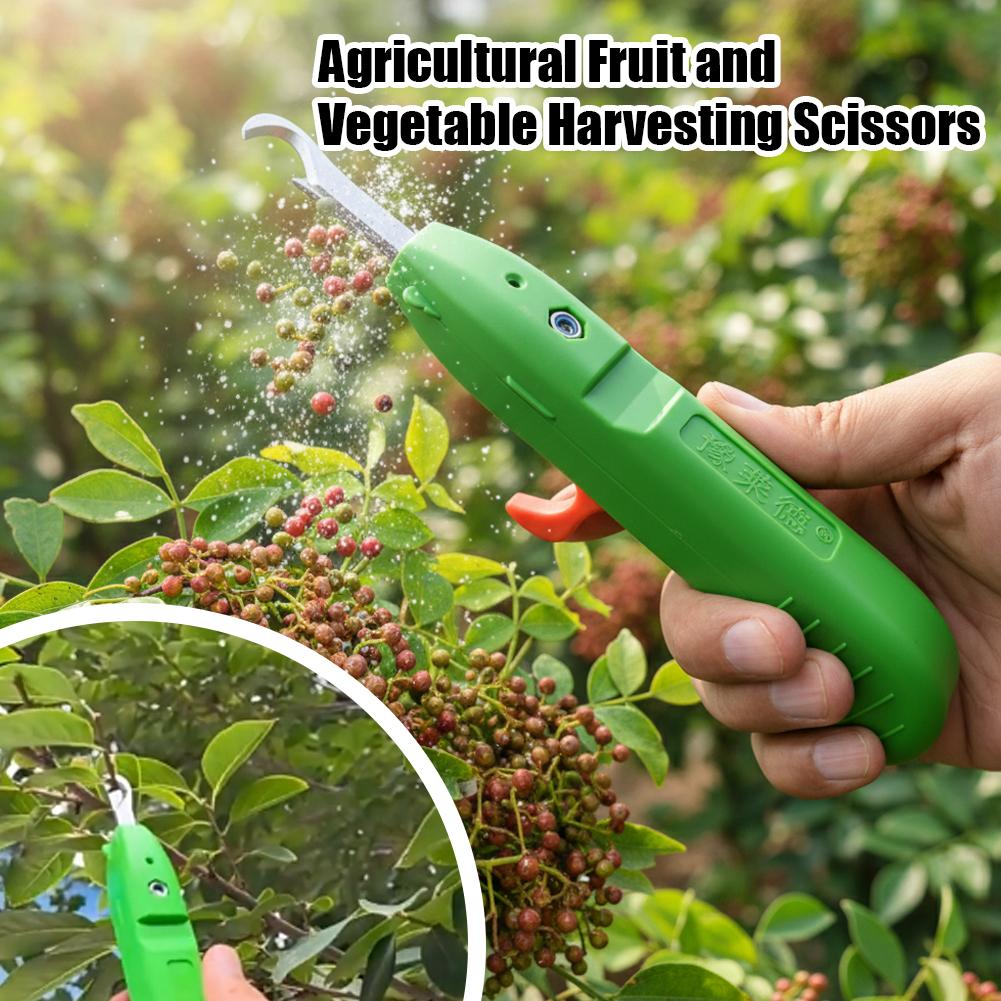 Tesoura de Colheita de Frutas  - Essential Gardening Tools avaliação e preço