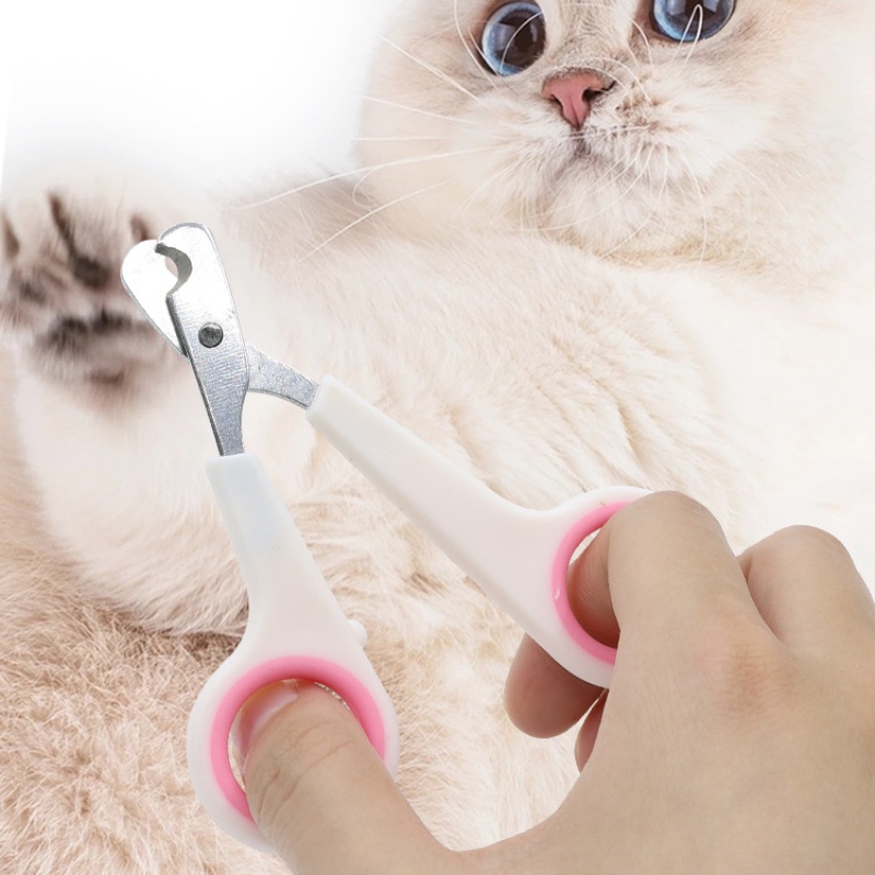 Cortador de Unhas para Cães e  - Essential Gardening Tools avaliação e preço