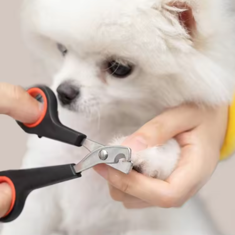 Cortador de Unhas para Cães e  - Essential Gardening Tools avaliação e preço