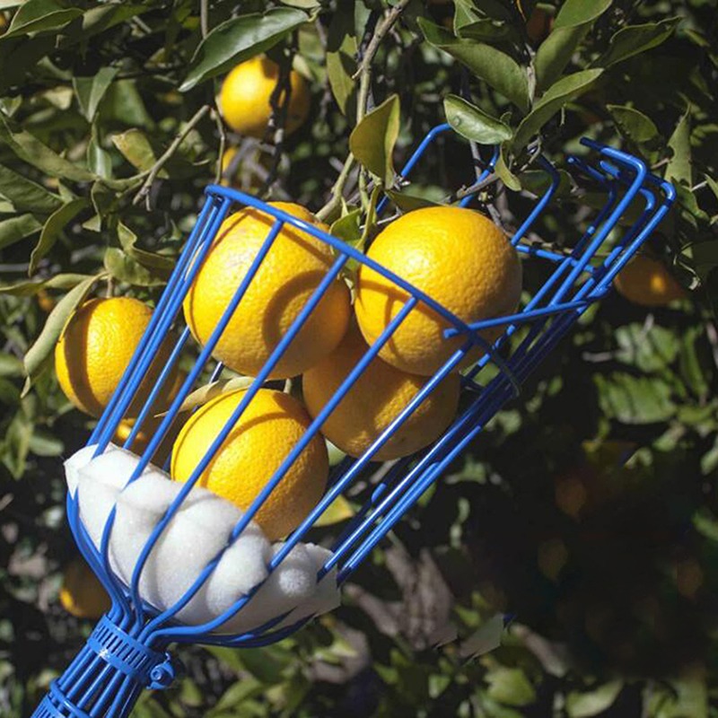 Cabeça de Colhedora de Frutas  - Gardening Tools Basket avaliação e preço