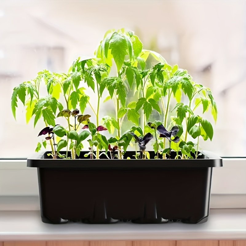Kit de Iniciação para Mudas 1/ - Led Grow Light avaliação e preço