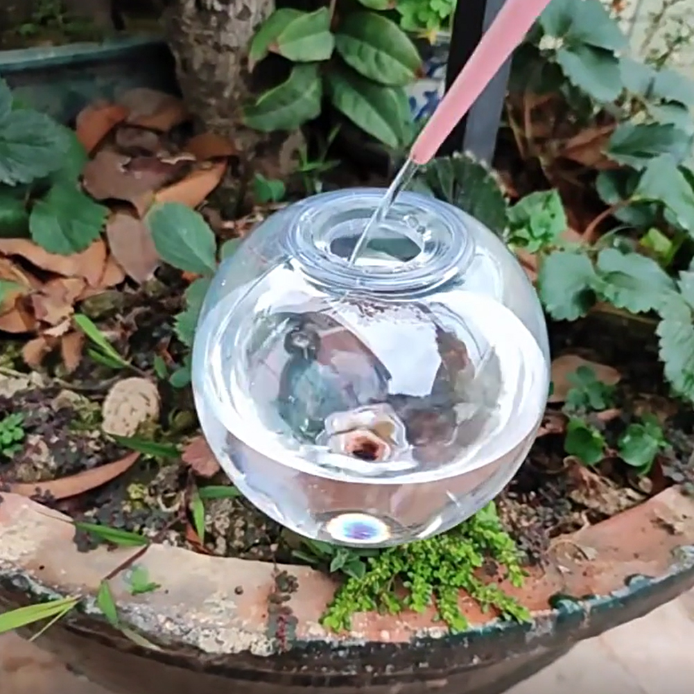 Globos de Irrigação Automática - Self-Watering Planter avaliação e preço