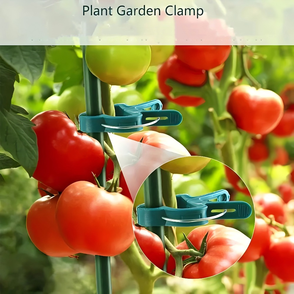 10/30/50 peças de Clipes Ajust - Essential Gardening Tools avaliação e preço