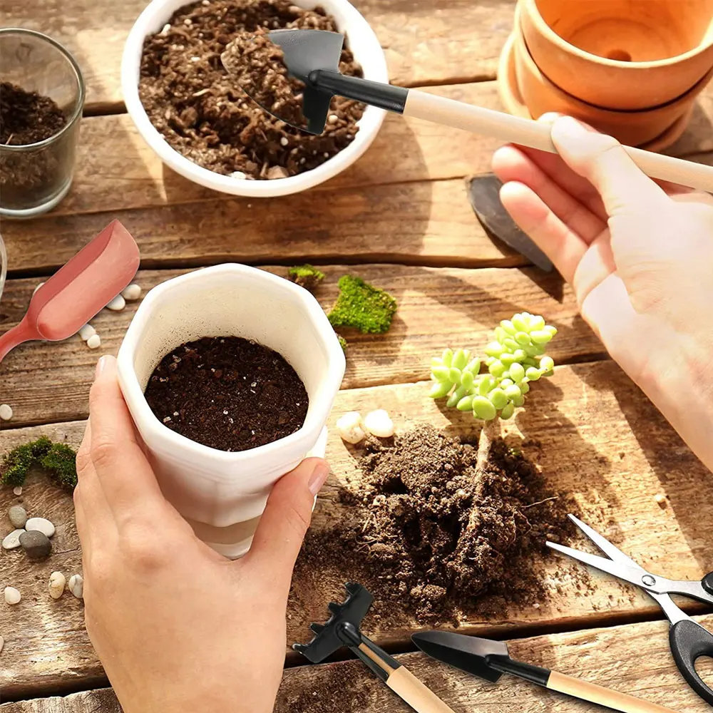 Indoor suculentas plantas conj - Gardening Tools Kit For Home Garden avaliação e preço