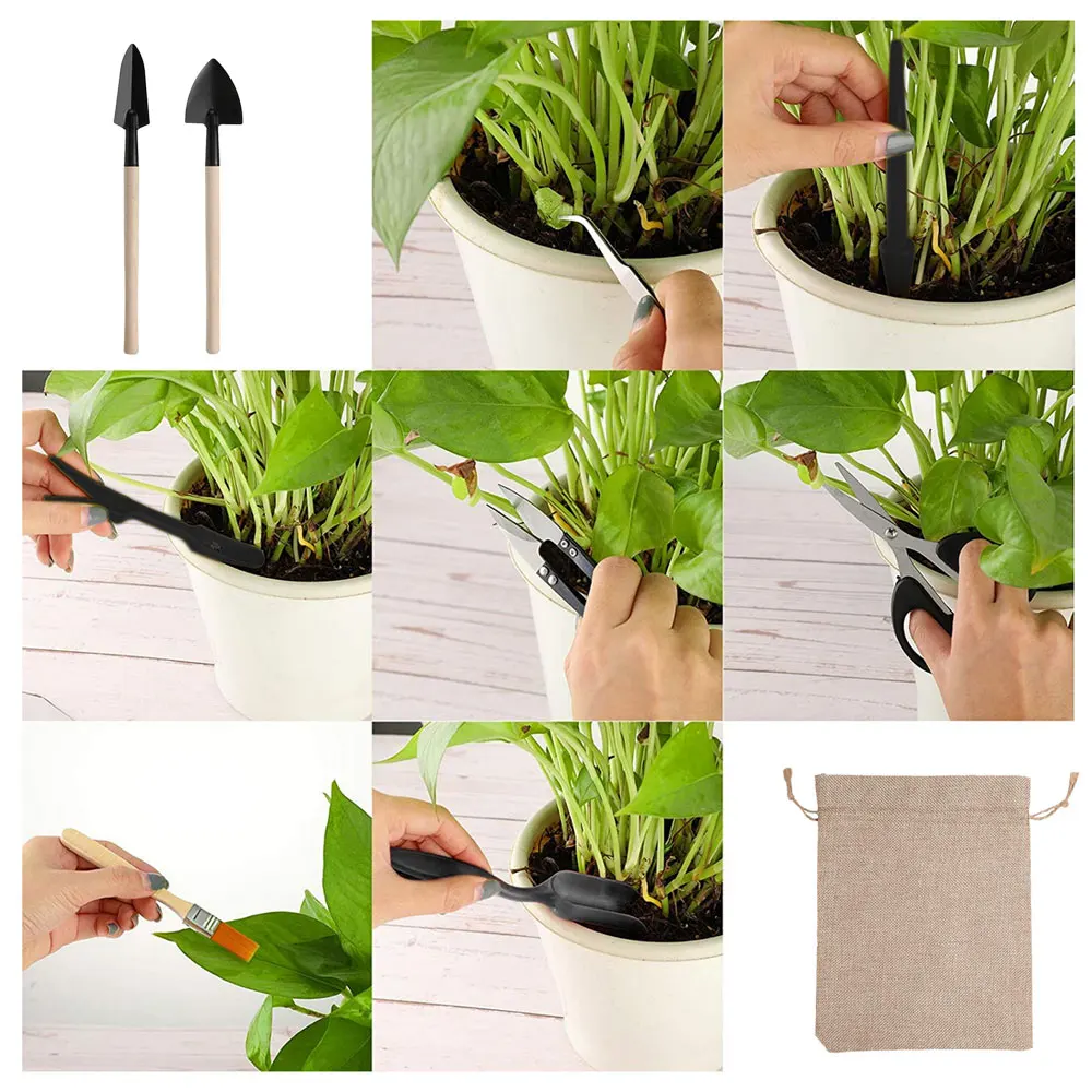 Indoor suculentas plantas conj - Gardening Tools Kit For Home Garden avaliação e preço
