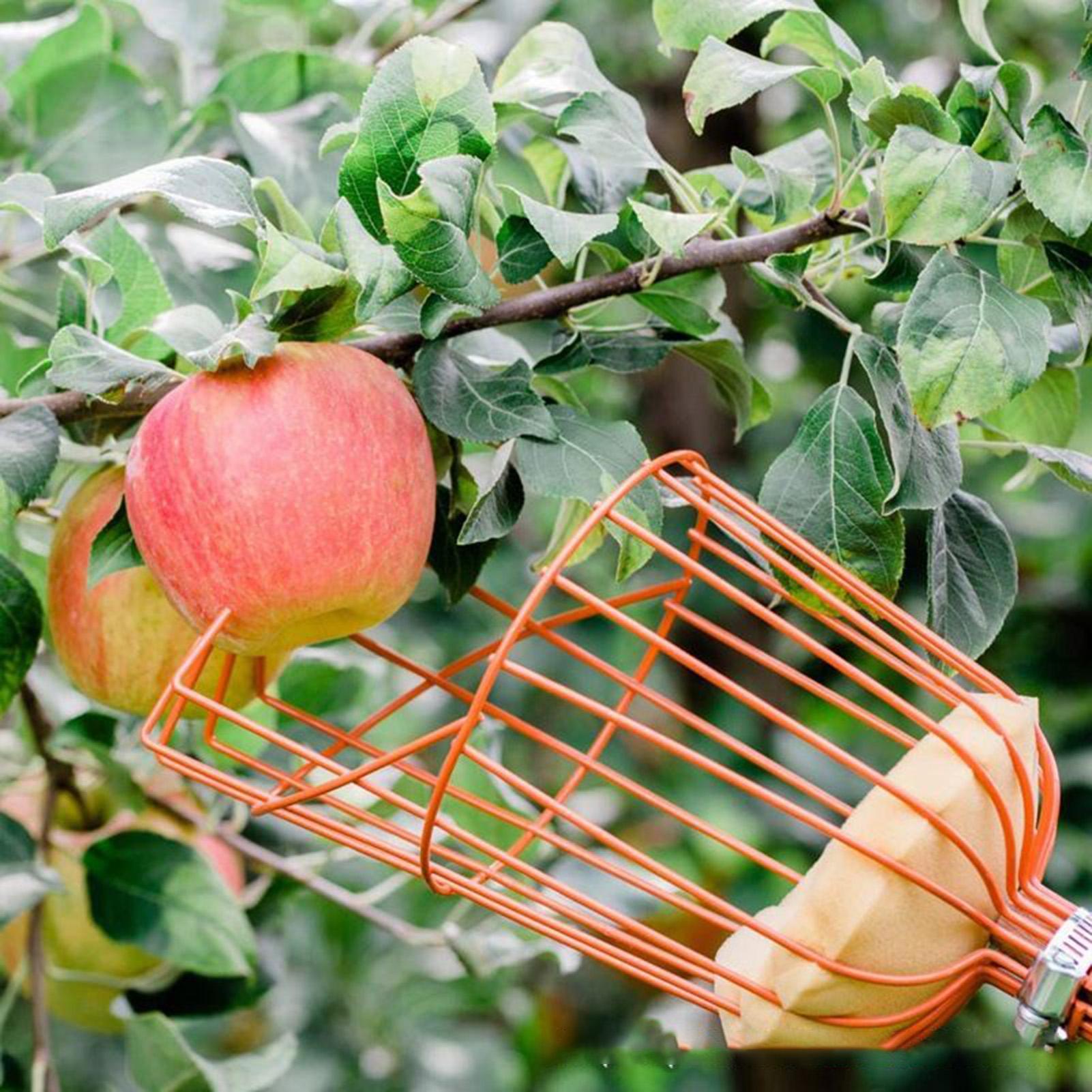 Coletor de frutas com alça ret - Gardening Tools Basket avaliação e preço