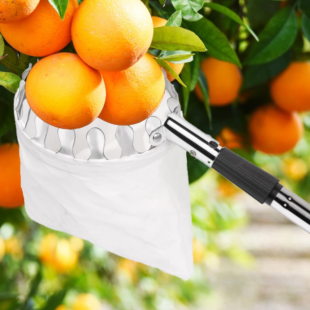 Cabo Telescópico de Aço Inoxid - Gardening Tools Basket avaliação e preço