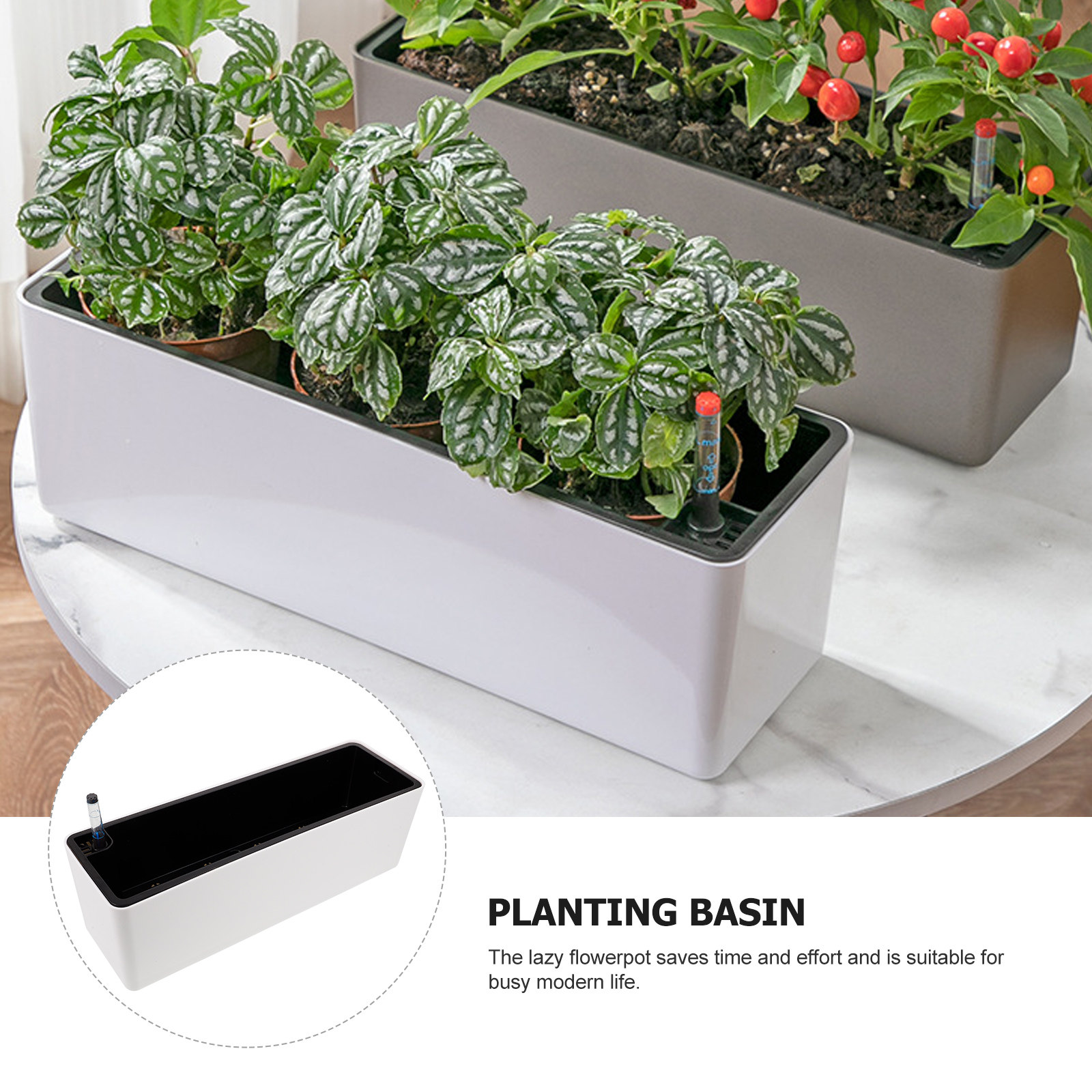 Conjunto de 1 Vaso de Plástico - Self-Watering Planter avaliação e preço