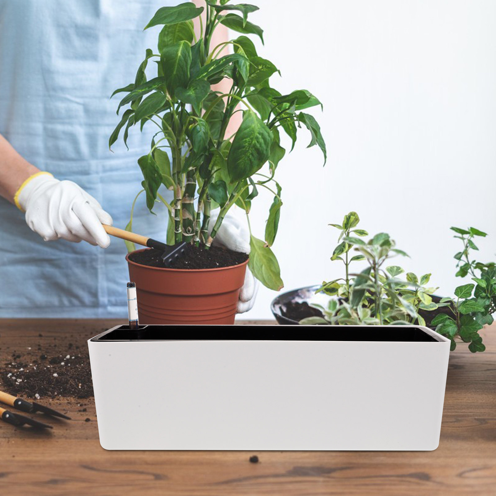 Conjunto de 1 Vaso de Plástico - Self-Watering Planter avaliação e preço