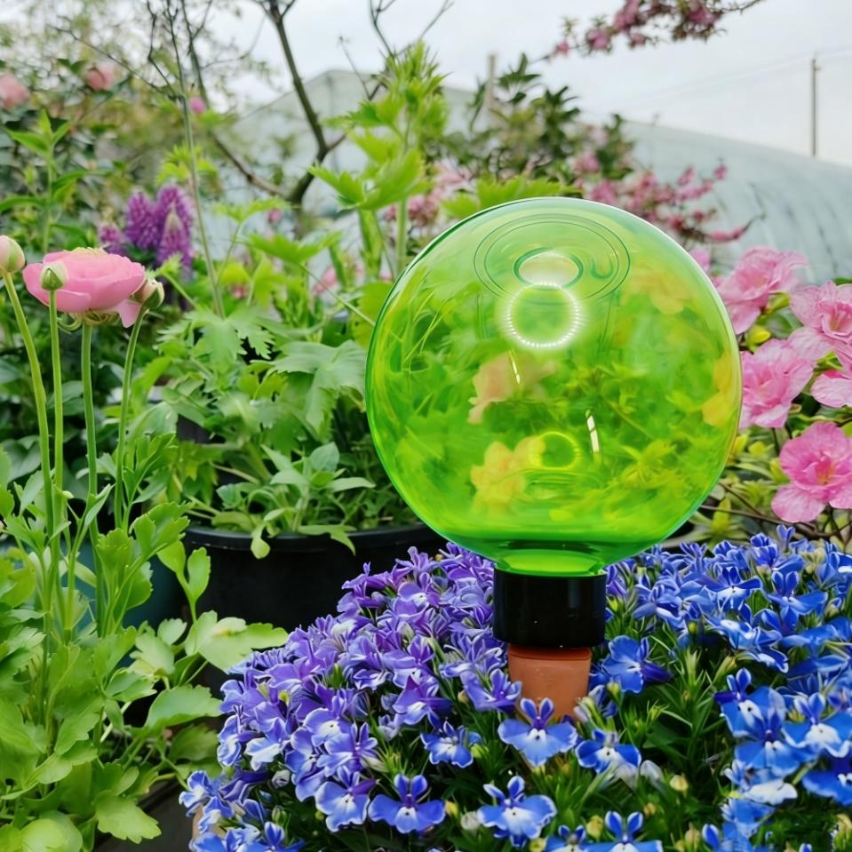 3 Globos Grandes de Autoirriga - Self-Watering Planter avaliação e preço