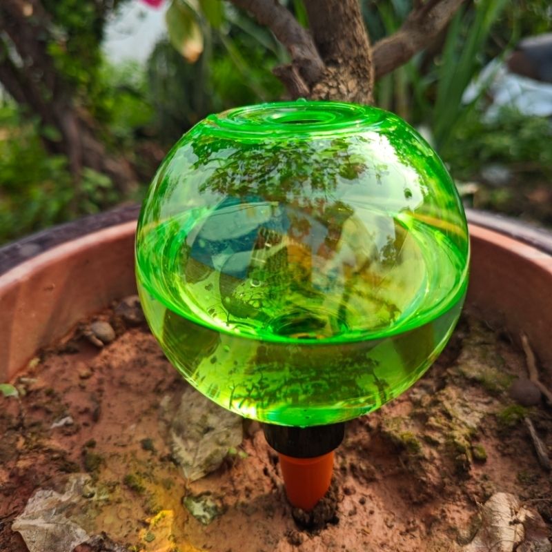3 Globos Grandes de Autoirriga - Self-Watering Planter avaliação e preço