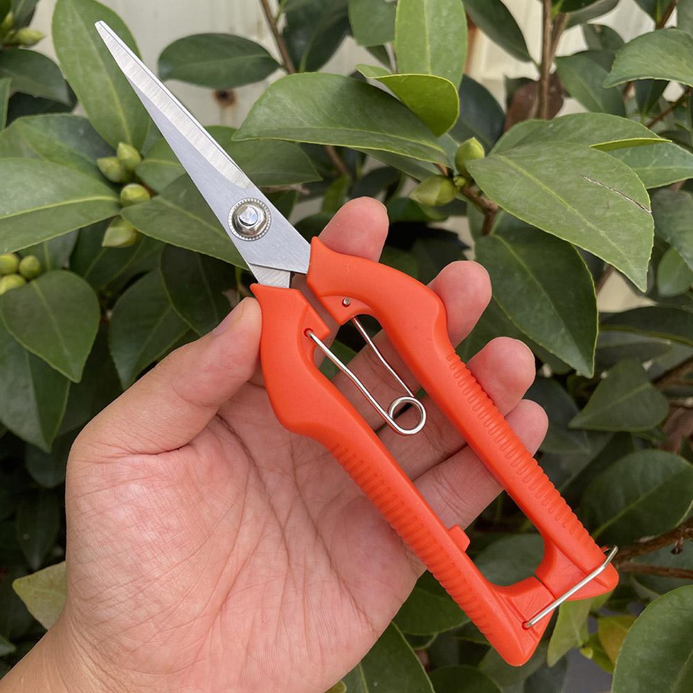 Tesoura de Poda Profissional p - Essential Gardening Tools avaliação e preço