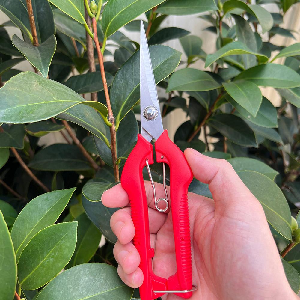 Tesoura de Poda Profissional p - Essential Gardening Tools avaliação e preço