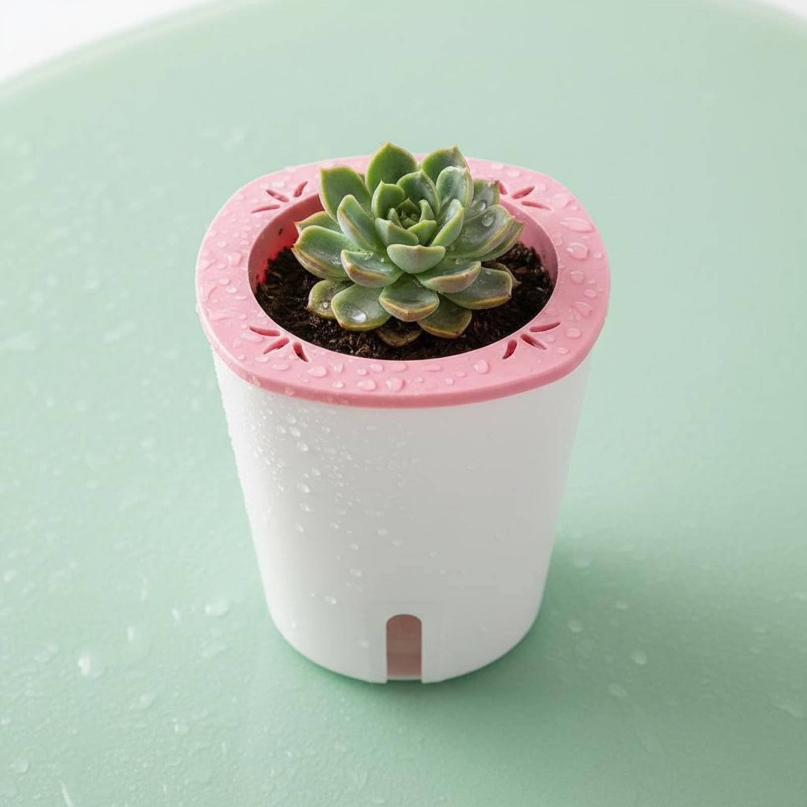 Vaso Autoirrigável Grande com  - Self-Watering Planter avaliação e preço