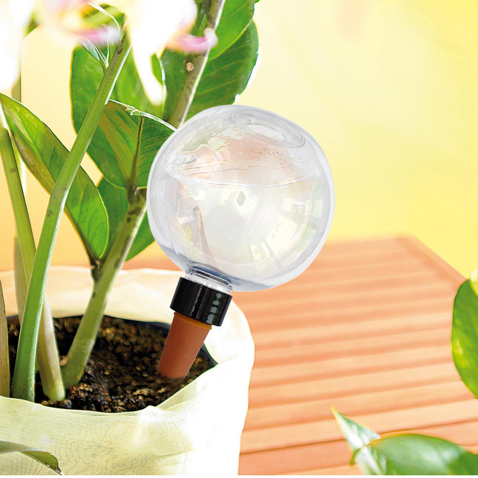 Lâmpadas automáticas de rega d - Self-Watering Planter avaliação e preço