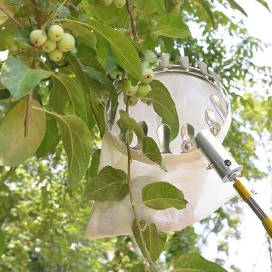 Ferramenta Profissional para C - Gardening Tools Basket avaliação e preço