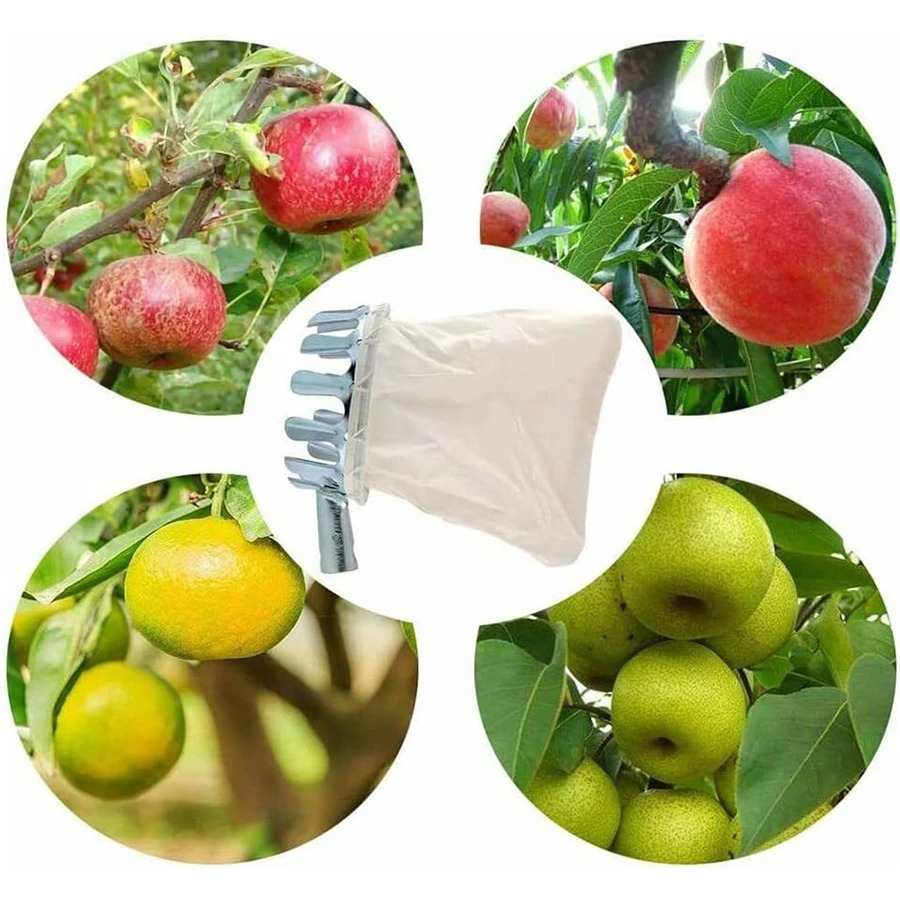 Ferramenta Profissional para C - Gardening Tools Basket avaliação e preço
