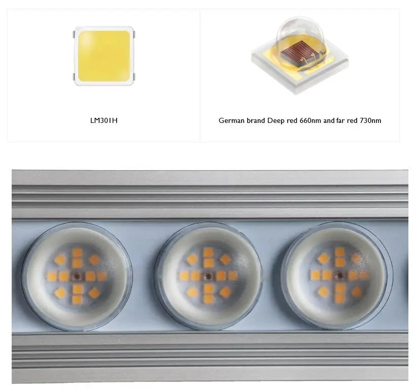 Luz de Cultivo LED de Espectro - Led Grow Light avaliação e preço