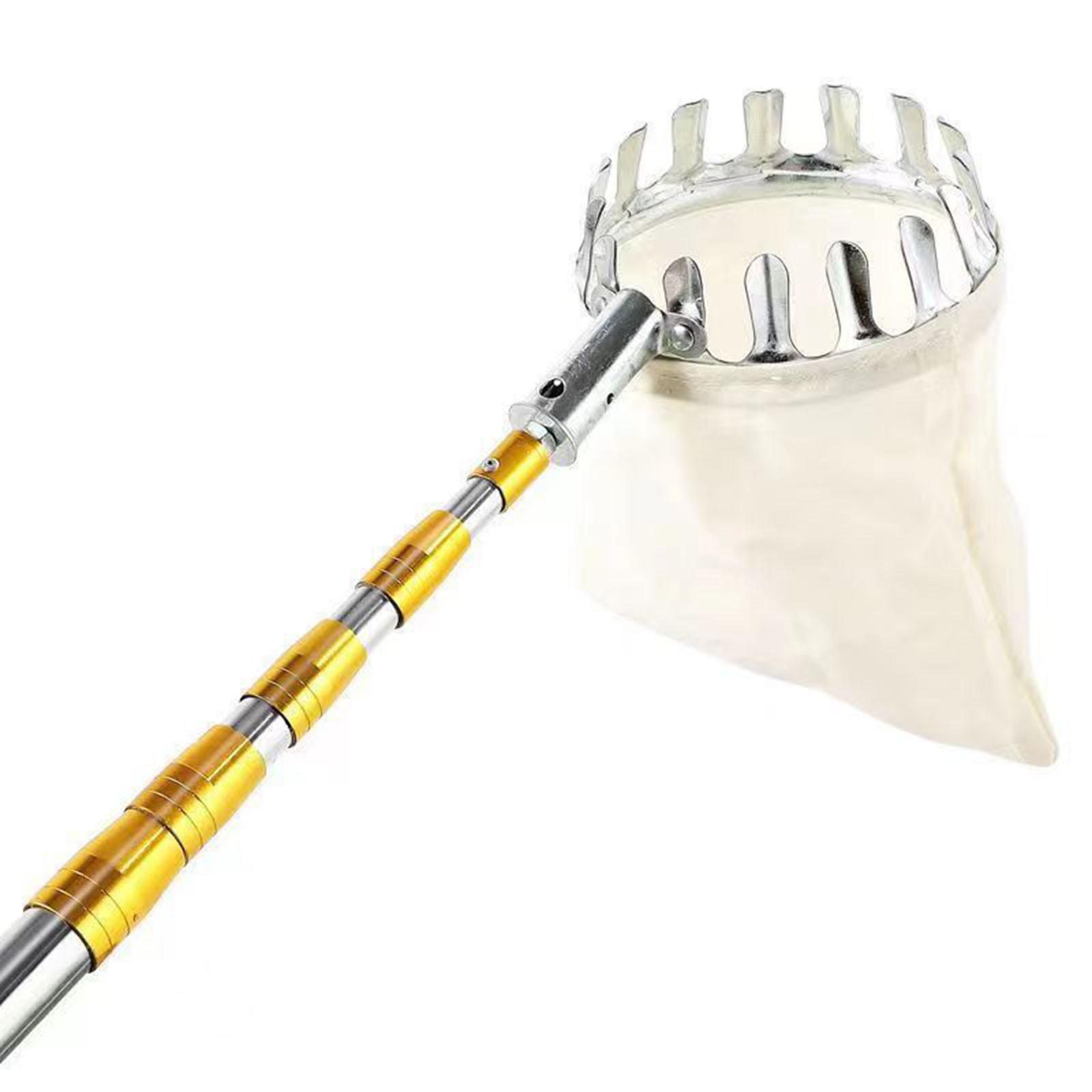 Ferramenta de Colheita de Frut - Gardening Tools Basket avaliação e preço