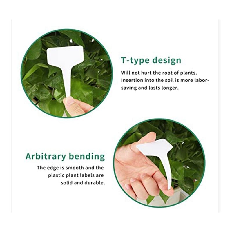 Etiquetas de plantas RANA 300  - Gardening Tools With Names avaliação e preço