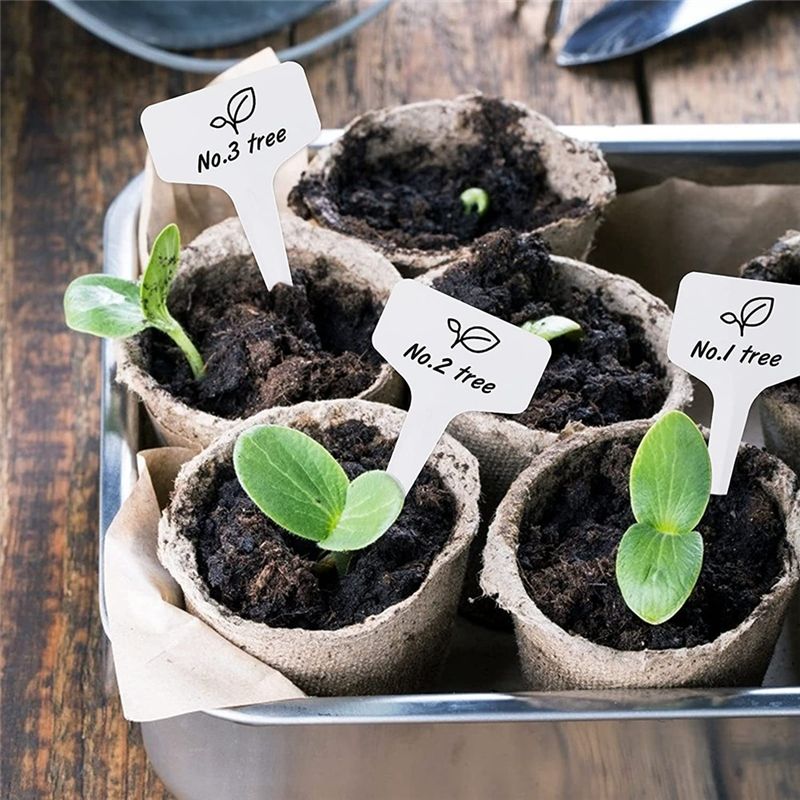 Etiquetas de plantas RANA 300  - Gardening Tools With Names avaliação e preço