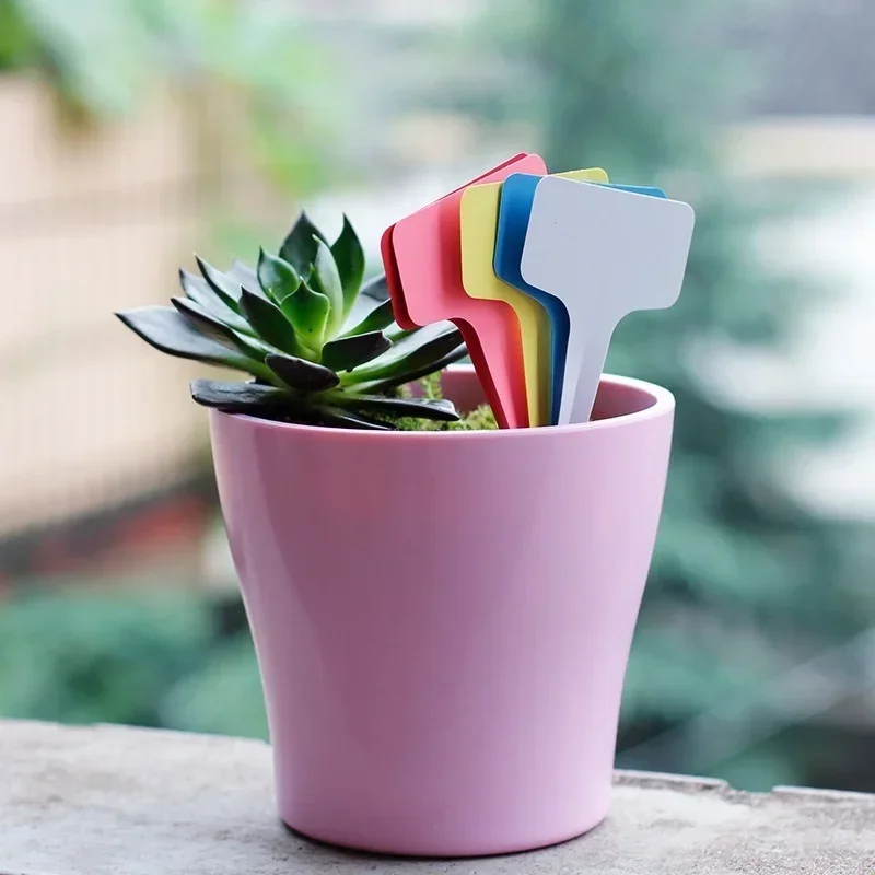Etiquetas de nome de planta de - Gardening Tools With Names avaliação e preço