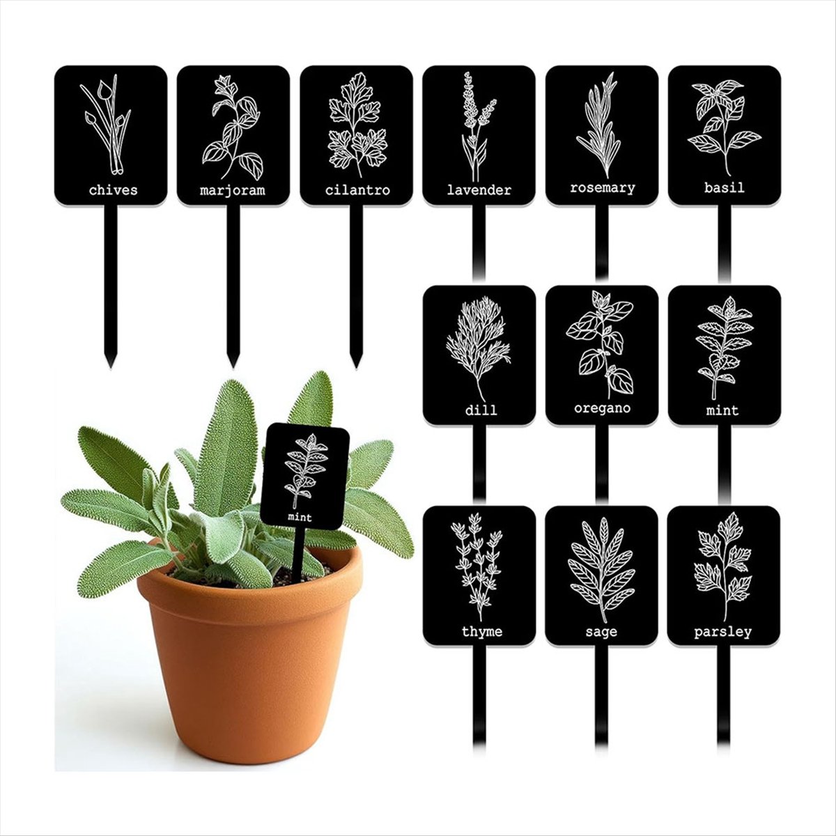 AA14 24 Peças Etiquetas de Acr - Gardening Tools With Names avaliação e preço